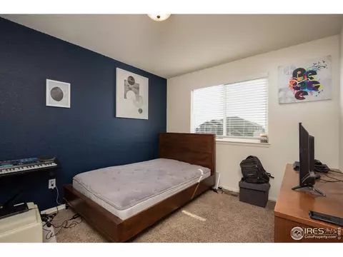 913 Mt Shavano Ave, Severance, CO 80550 photo 19