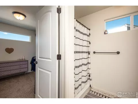 913 Mt Shavano Ave, Severance, CO 80550 photo 13
