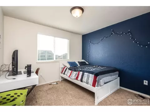 913 Mt Shavano Ave, Severance, CO 80550 photo 17