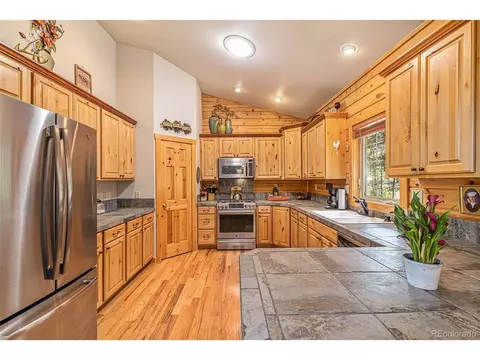 28876 Windflower Ln, Conifer, CO 80433 photo 14