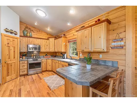 28876 Windflower Ln, Conifer, CO 80433 photo 13