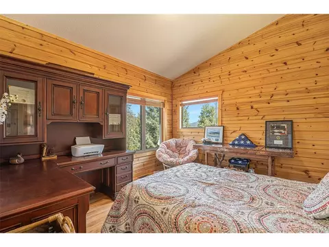 28876 Windflower Ln, Conifer, CO 80433 photo 22