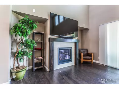 5726 Riverbluff Dr, Timnath, CO 80547 photo 8