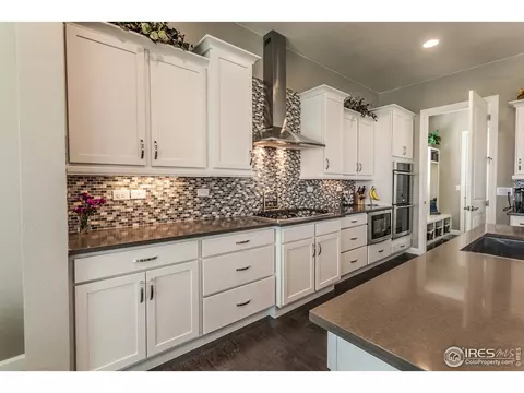 5726 Riverbluff Dr, Timnath, CO 80547 photo 15