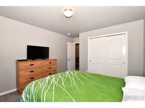 6086 Carmon Dr, Windsor, CO 80550 photo 33
