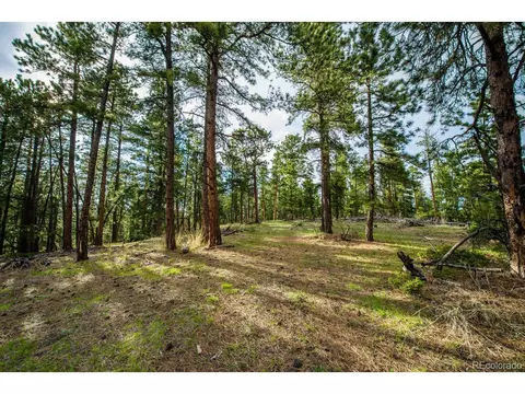 10250 Highway 73, Conifer, CO 80433