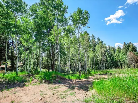12286 Styve Rd, Conifer, CO 80433 photo 8