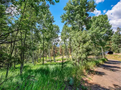 12286 Styve Rd, Conifer, CO 80433