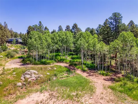 12286 Styve Rd, Conifer, CO 80433 photo 5