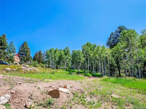 12286 Styve Rd, Conifer, CO 80433 photo 11