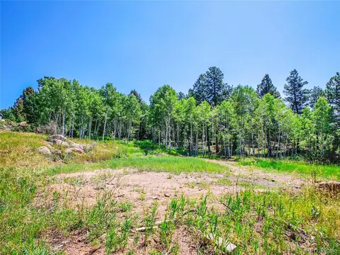 12286 Styve Rd, Conifer, CO 80433 photo 12