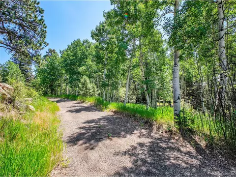 12286 Styve Rd, Conifer, CO 80433 photo 2