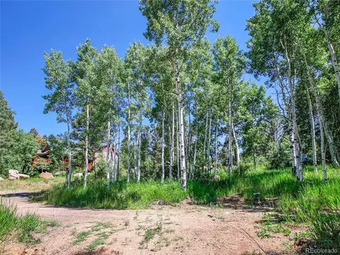 12286 Styve Rd, Conifer, CO 80433 photo 7
