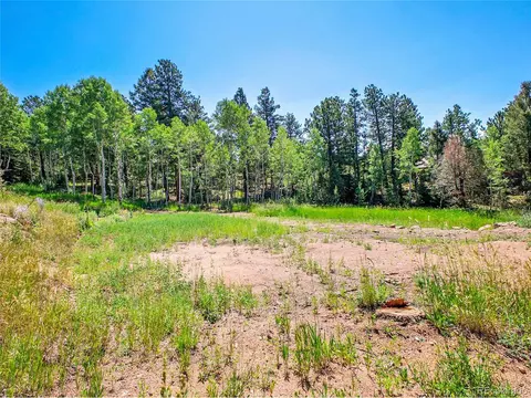 12286 Styve Rd, Conifer, CO 80433 photo 13