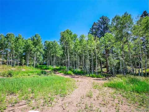 12286 Styve Rd, Conifer, CO 80433 photo 10
