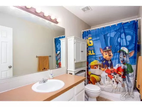 1049 Grand Ave, Windsor, CO 80550 photo 25