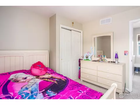 1049 Grand Ave, Windsor, CO 80550 photo 27