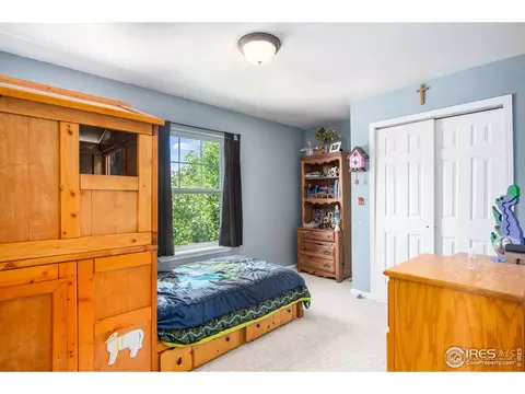 1049 Grand Ave, Windsor, CO 80550 photo 23