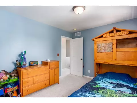 1049 Grand Ave, Windsor, CO 80550 photo 24