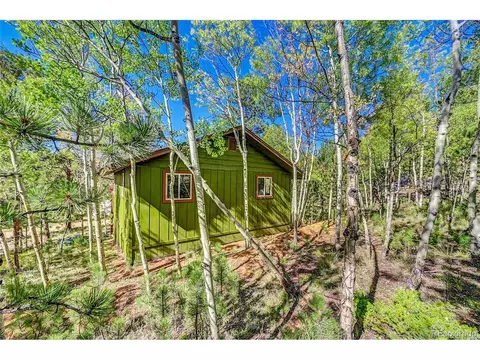 304 Houston St, Bailey, CO 80421 photo 39