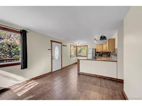 304 Houston St, Bailey, CO 80421 photo 22