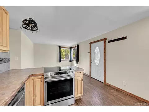 304 Houston St, Bailey, CO 80421 photo 18