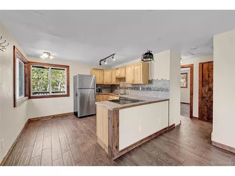 304 Houston St, Bailey, CO 80421 photo 14