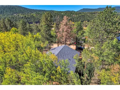 304 Houston St, Bailey, CO 80421 photo 40
