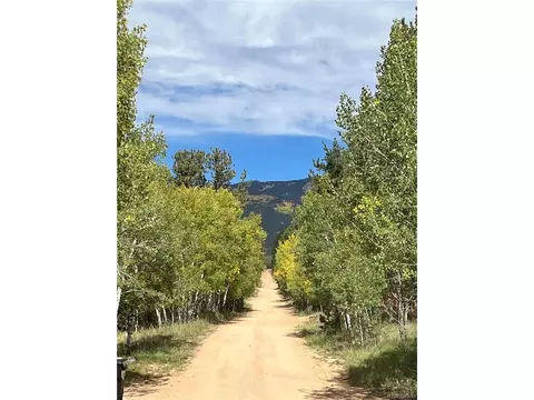 304 Houston St, Bailey, CO 80421 photo 48