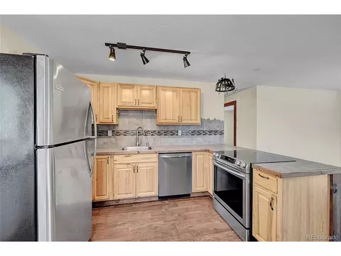 304 Houston St, Bailey, CO 80421 photo 17