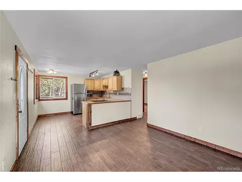 304 Houston St, Bailey, CO 80421 photo 21