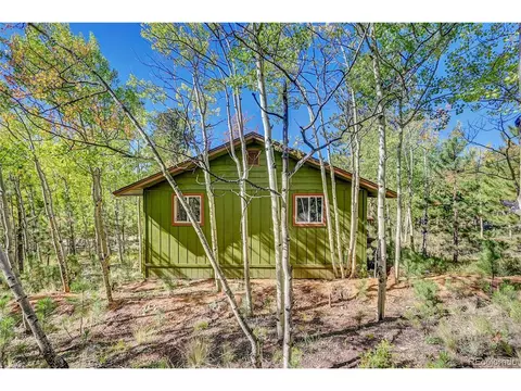 304 Houston St, Bailey, CO 80421 photo 3