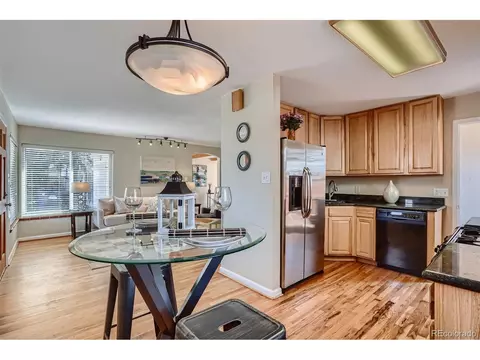 3263 S Grape St, Denver, CO 80222 photo 11
