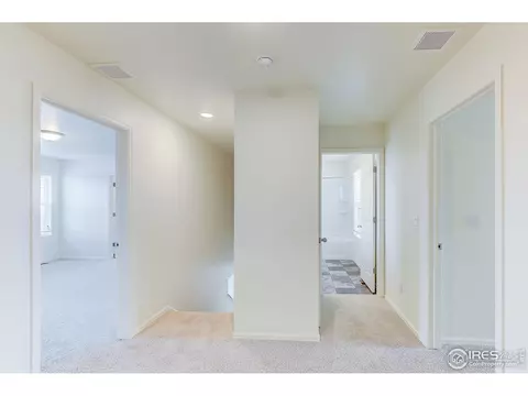 750 Camberly Dr, Windsor, CO 80550 photo 4