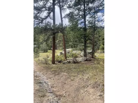 Cedar Dr, Lyons, CO 80540 photo 7