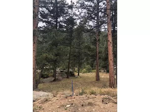 Cedar Dr, Lyons, CO 80540 photo 8