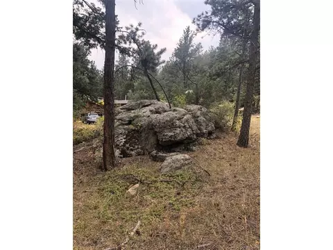 Cedar Dr, Lyons, CO 80540 photo 9
