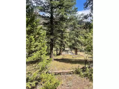 Cedar Dr, Lyons, CO 80540 photo 2