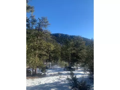 Cedar Dr, Lyons, CO 80540 photo 16