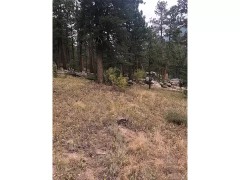 Cedar Dr, Lyons, CO 80540 photo 11