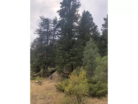 Cedar Dr, Lyons, CO 80540 photo 12