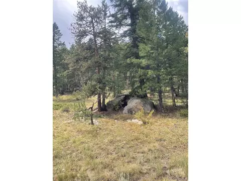 Cedar Dr, Lyons, CO 80540 photo 6