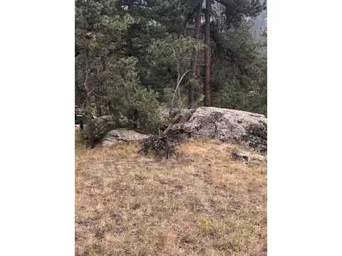 Cedar Dr, Lyons, CO 80540 photo 10