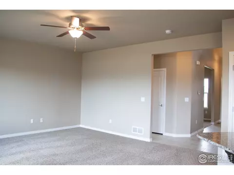 4477 Waltham Dr, Windsor, CO 80550 photo 12
