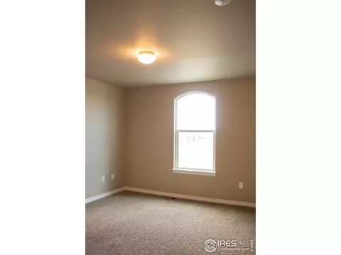4477 Waltham Dr, Windsor, CO 80550 photo 14