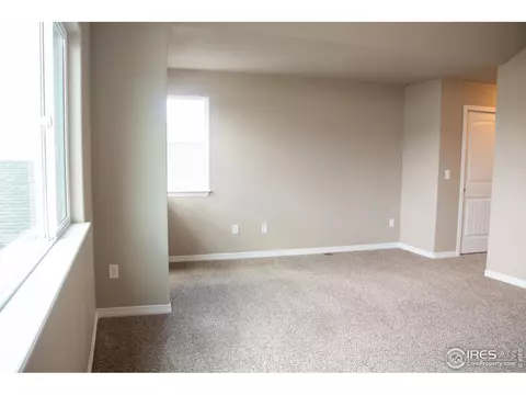 4477 Waltham Dr, Windsor, CO 80550 photo 29