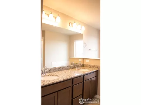 4477 Waltham Dr, Windsor, CO 80550 photo 33