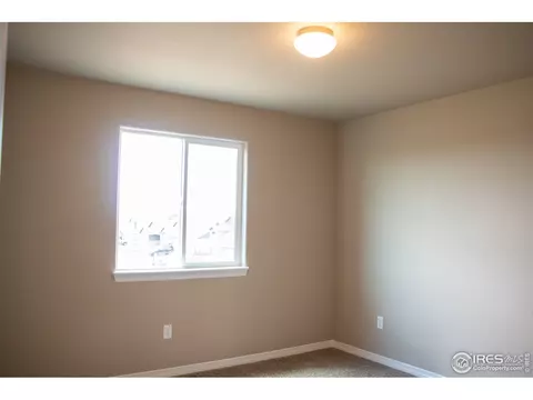 4477 Waltham Dr, Windsor, CO 80550 photo 21