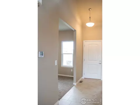 4477 Waltham Dr, Windsor, CO 80550 photo 3