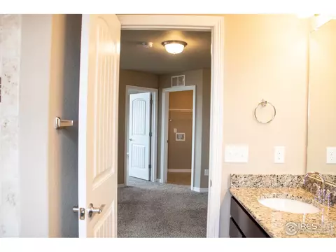 4477 Waltham Dr, Windsor, CO 80550 photo 18